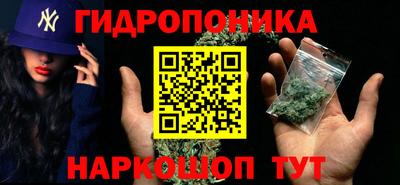 ECSTASY Будённовск