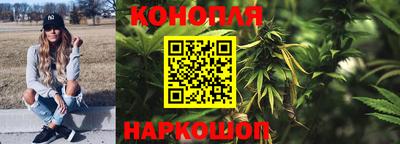 ECSTASY Будённовск