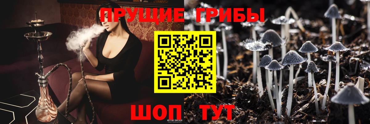 Галлюциногенные грибы Psilocybine cubensis  Псилоцибиновые грибы Cubensis  Вход с VPN  Симферополь 